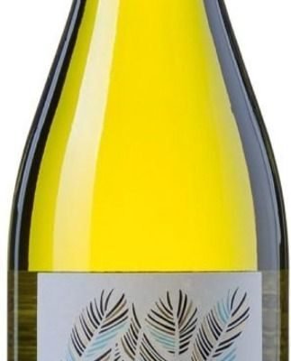 Palombe, Vin de Pays des Côtes de Gascogne